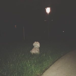 Meet your Posher, Jacelyn